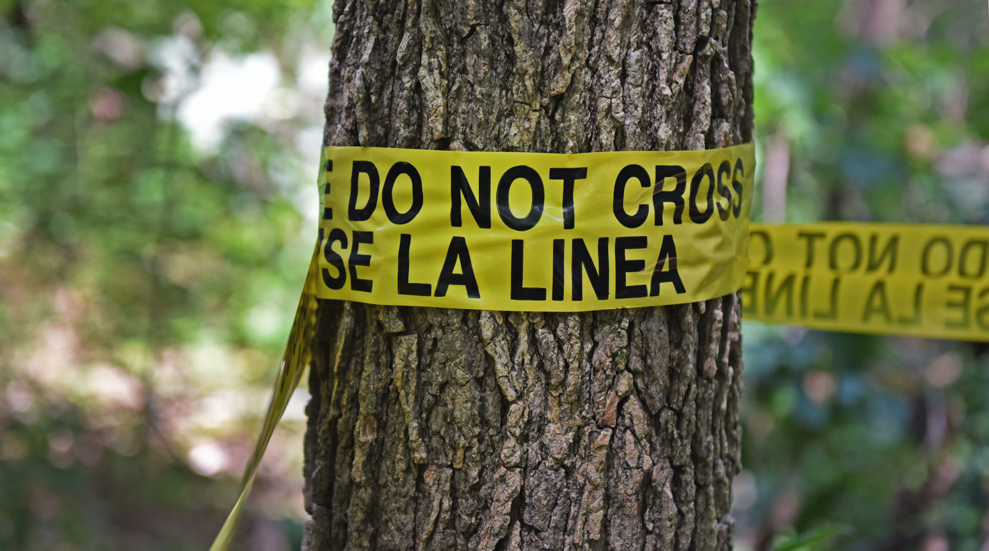 Eneas Rojas body found